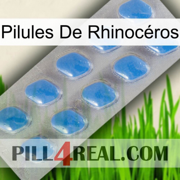 Pilules De Rhinocéros 22